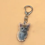 Banana Cat Keychain Set